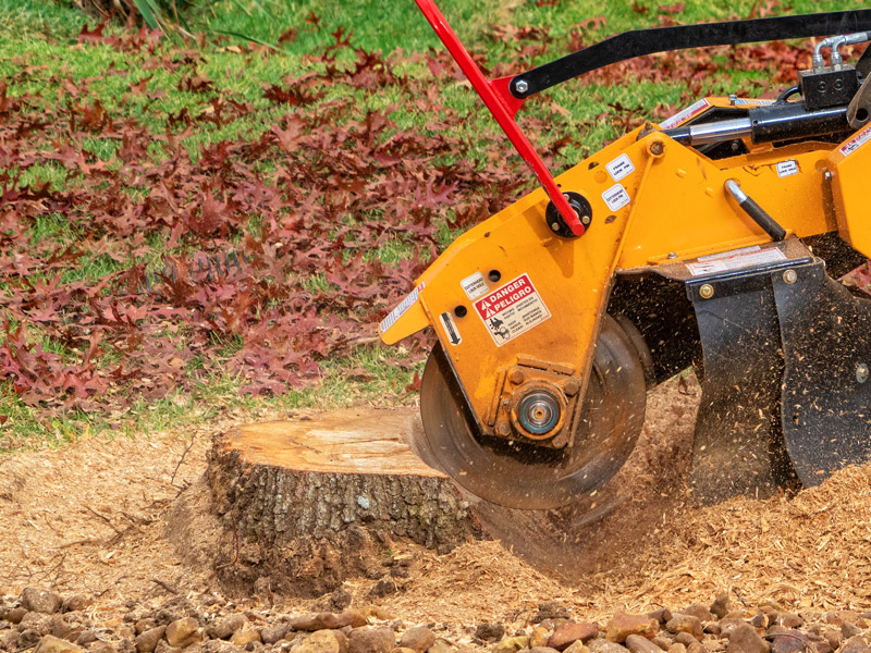 tree stump grinding