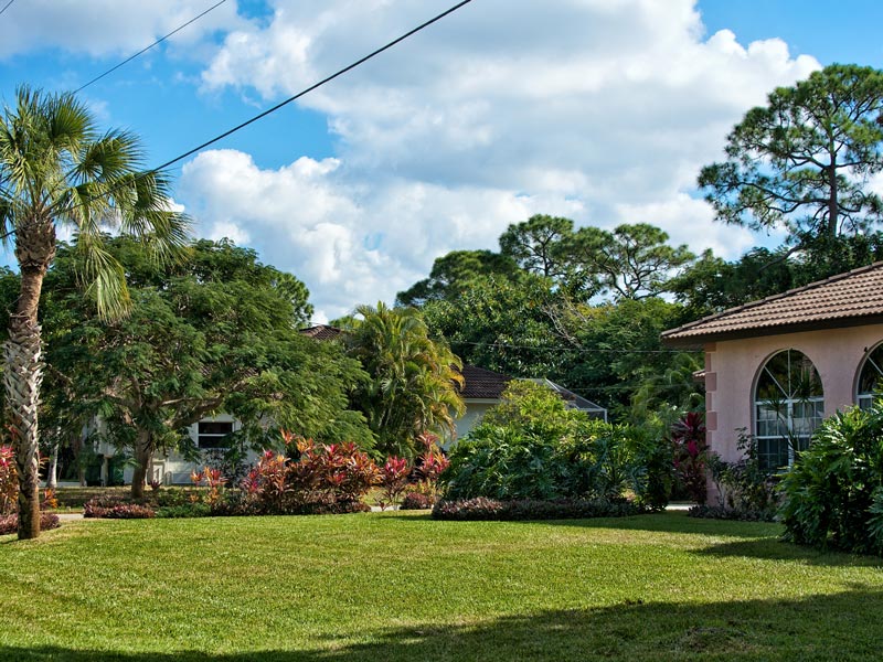typical southern florida neighborhood in early afternoon, showing houses, trees, and lawn.