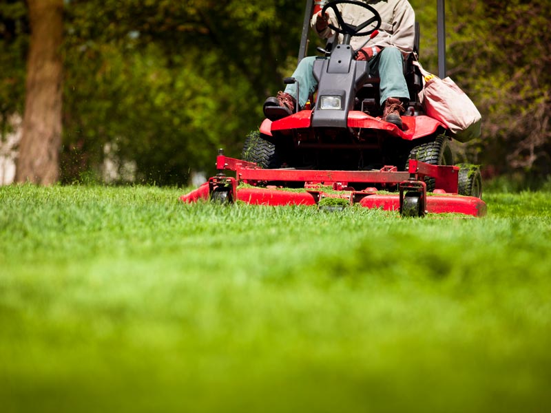 Man mowing lawn