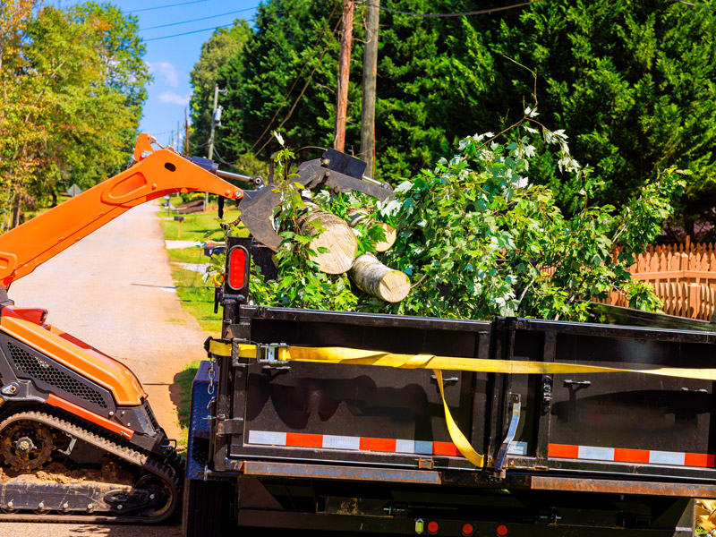 crawler tractor loader collects branches debris from neighborhood road after hurricane